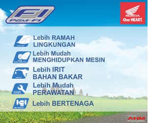 Kampanye Pgm-FI