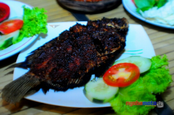 Food Blogger-Kuliner Gurami Bakar Malang 01.jpg image