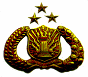 Pol-RI choi